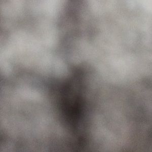 Meet your Posher, Peter